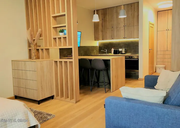 Happy Lux Old Town Studio, Self Check In, Parking * Vilnius